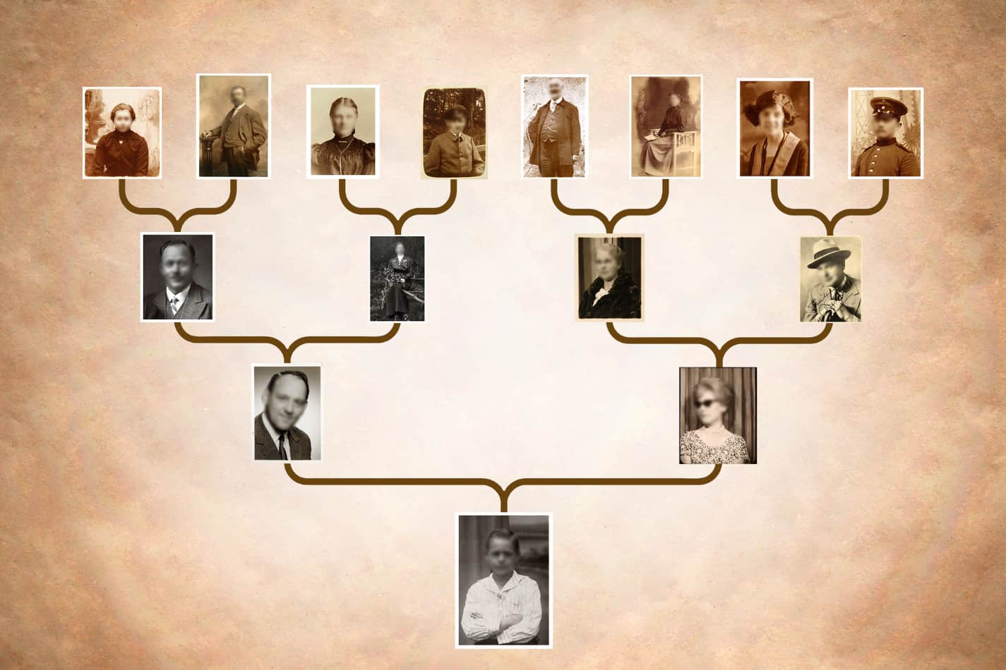 Image of genealogical tree of family with photos