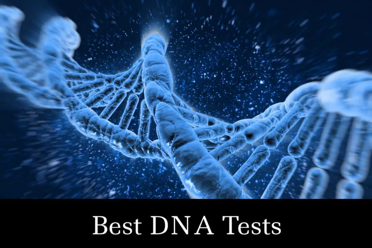 An image of a DNA strand in light blue color.