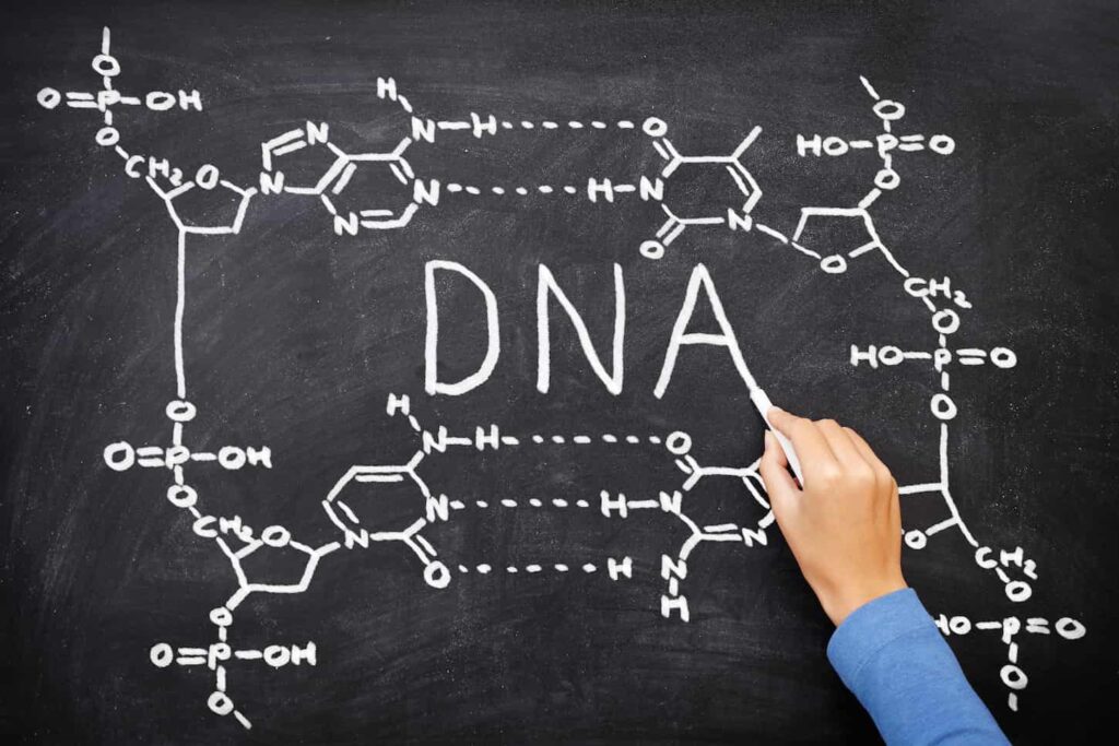 An image of a DNA word being written on a blackboard.