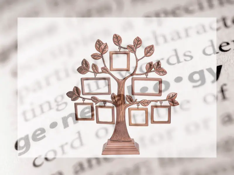 An image of a Genealogy family tree frames on a genealogy word background.