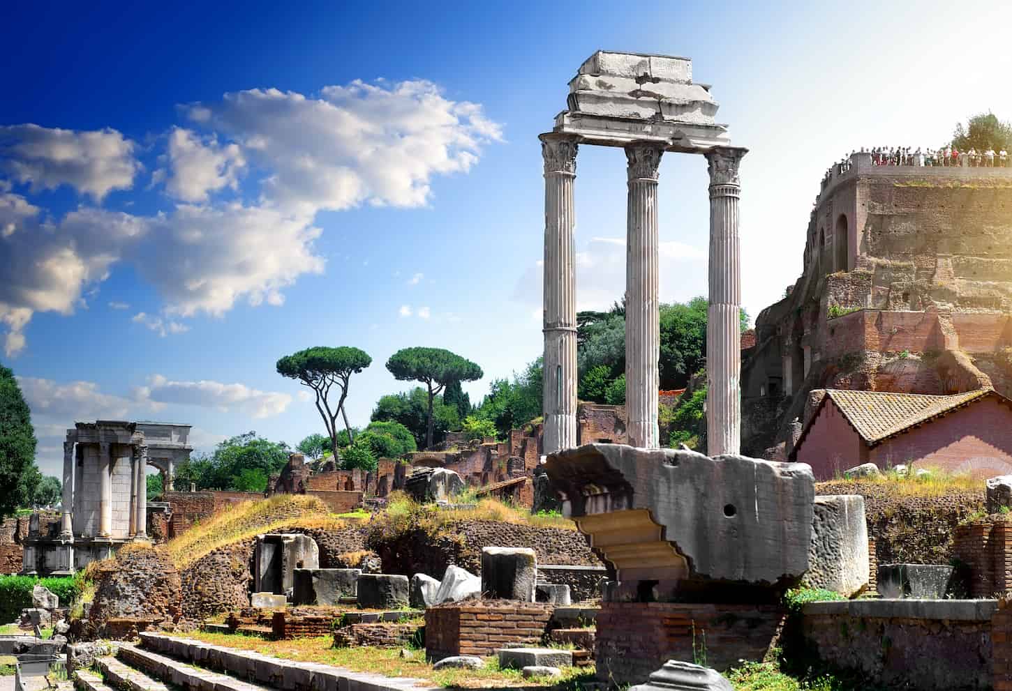 An image of Ruins of Roman Forum in summer, Italy.